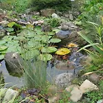 דירה Flegessen Weserbergland באד מינדר אם דייסטר