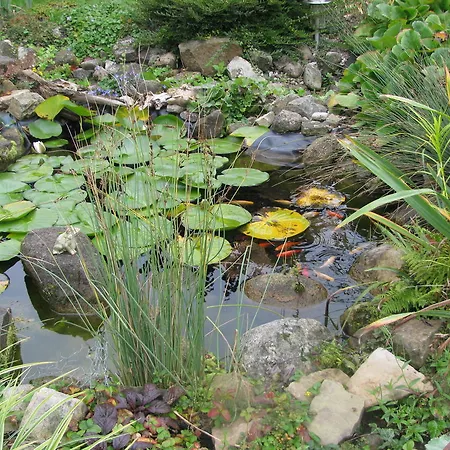 Appartement Flegessen Weserbergland Bad Münder am Deister